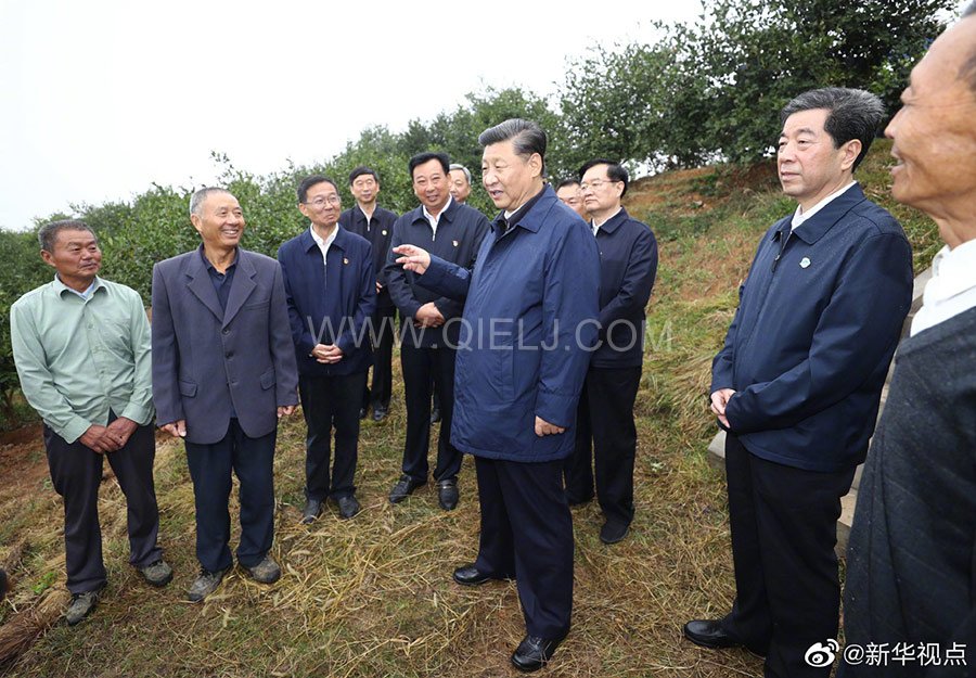 光山油茶籽榨油設備，山茶籽油榨油機廠家(圖3)