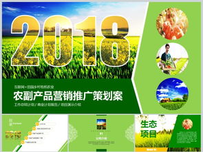 2018互聯網+農副產品市場推廣企業營銷策劃案